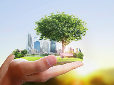 plan-innovacion-y-sostenibilidad-camara-comercio-orihuela